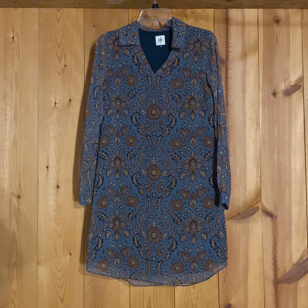 Cabi Provincial Dress